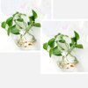 ACJRYO 2Pack Wall Hanging Fish Tank,Mounted Fish Bowl Betta Tank Fish Plant Tanks Hanging Fish Bowl Plant Vase Home Decoration Pot