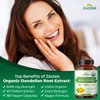 Zazzee USDA Organic Dandelion Root 10:1 Extract, 3000 mg Strength, 180 Capsules, 6 Month Supply, Standardized and Concentrated 10X Extract, 100% Vegetarian, All-Natural and Non-GMO
