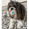 Glory To Dog Small Soft Ball Plush Dog Toy Chewable Plush Squeaky Ball Stuffed with Fluff for Puppies and Small and Medium Breeds 2-Pack