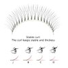 Soft Natural Premade Volume 2D Fans Eyelash Extension 0.10 Thickness 8-14mm Handmade Premade Cluster Volume Fans Faux Mink Lashes 3d (10mm, 3D-0.10-C)