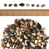 River Rocks Stones for Plants Pebbles for Indoor Plants | Aquarium Fish Tank Rocks | Polished Decorative Rocks for Vases (2 Pound Bag)