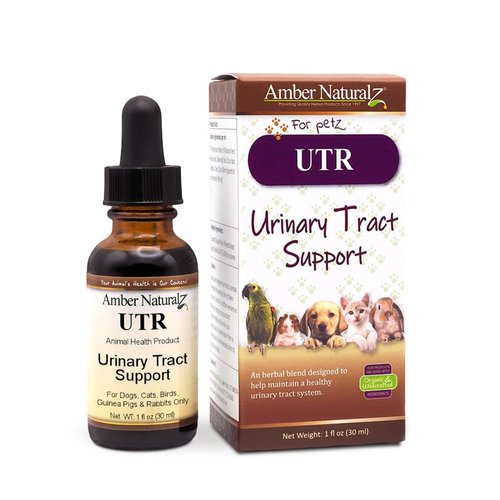 AMBER NATURALZ UTR Urinary Tract Herbal Supplement for Dogs, Cats, Birds, Guinea Pigs, and Rabbits | Pet Herbal Supplement for Bladder Support | 1 Fluid Ounce Glass Bottle | Manufactured in The USA