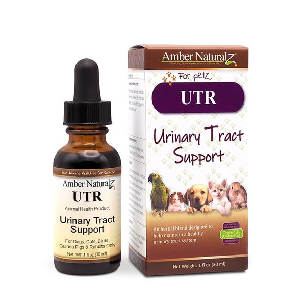 AMBER NATURALZ UTR Urinary Tract Herbal Supplement for Dogs, Cats, Birds, Guinea Pigs, and Rabbits | Pet Herbal Supplement for Bladder Support | 1 Fluid Ounce Glass Bottle | Manufactured in The USA