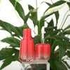COSIDEA 20pcs Empty Cute Mushroom Shape Red lip gloss tube 4ml 0.13oz with wand Lipgloss tubes containers for lip oil packing