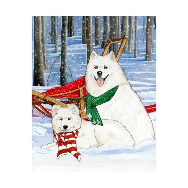 Pipsqueak Samoyed Christmas Cards : 10 Holiday Cards with Red Envelopes - ADORABLE!