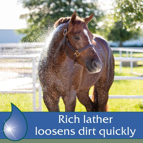 Farnam Vetrolin Body Wash, Gentle Moisturizing Body Wash for Horses and Dogs, 32 Ounces