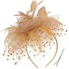 Durzasvo Women's Fascinators Tea Party Wedding Derby Mesh Flower Pearl Feather Fascinator Hat with Headband and Clip Gold
