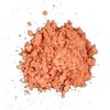 Loose Mineral Powder Blush in Pot by Pree Cosmetics - Compare to Bare Minerals (Perfect Mango)