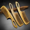 Hair Comb - No Static Detangling Comb by Aguder - Fine Tooth Green Sandalwood Hook Combs