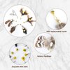 Hokoad Cat Insect Feather Toys Replacement Cat Toy Wand Refills, 6 Pieces Natural Insect Cat Toy Feathers Refill, Interactive Cat Teaser Wand Attachments, with Bell