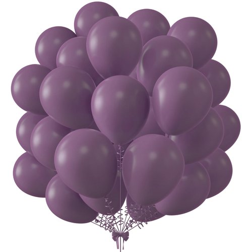 KALOR 10 Inch Retro Purple Balloons, 100 Pcs Latex Helium Balloons for Kid's Birthday Party Baby Shower Wedding Graduation Graduation Party Decorations