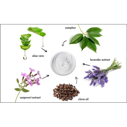 Raya Camphor Soufflé Facial Cleanser 16 oz (101) | pH Balanced Face Wash for Oily, Blemished, and Break-Out Skin | Helps Reduce White-Heads and Black-Heads and Clear Clogged Pores