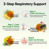 Fidus 7 in 1 Mullein Drops for Lungs- Echinacea | Oregano | Ginger | Elderberry | Marshmallow Root ｜Thyme Leaf - Lung Detox for Smokers, Respiratory & Immune Support- Vegan，Non-GMO，4 fl oz