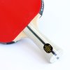 Palio Expert 3.0 Table Tennis Racket & Case - ITTF Approved, Beginner Ping Pong Bat