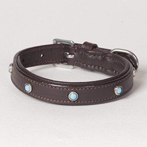 XX-Small Genuine Leather Padded Decorated Arizona Dog Collar; Fits Neck Size 8" - 10"