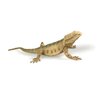 NAKIMO Bearded Dragon Animal Figurine Lizard Toy Realistic Reptile Figures for Decoration, Science Education, Prank Props (Bearded Dragon)