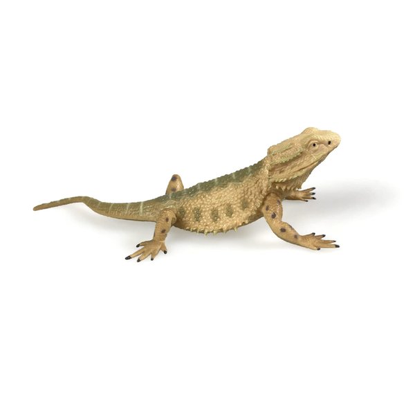 NAKIMO Bearded Dragon Animal Figurine Lizard Toy Realistic Reptile Figures for Decoration, Science Education, Prank Props (Bearded Dragon)