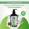 Coco Fiji Face & Body Lotion Infused With Coconut Oil | Lotion for Dry Skin | Moisturizer Face Cream & Massage Lotion for Women & Men | Cucumber Melon 12 oz, Pack of 1