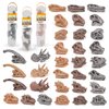 Fantarea Ancient Animal Dinosaur Head Skeleton Fossil Assorted Bones Playsets 33 PCS Action Figures Model Desktop Decoration Collection Party Favors Toys for Boys Girls Kids