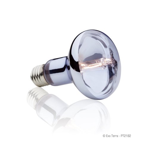 Exo Terra Sun-Glo Daylight Halogen Lamp, 75-Watt