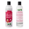 Snip-its Tangle Buster Detangling Kids Shampoo 12 oz | Gentle Hair Detangler - Great for Swimmers with Curly or Straight hair - Natural Kids Shampoo Made in the USA | Salon Quality. Kid Friendly.