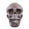 Cast Iron Wall Mounted Skull Bottle Opener
