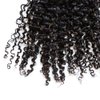 ZigZag Hair Afro Kinky Curly Clip In Human Hair Extensions Brazilian Virgin African American 4B 4C Clip in Hair Extensions Natural Clip Ins For Black Women (10inch, 3B 3C)