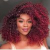 ANNIVIA Short Lace Front Wigs for Black Women Burgundy HD Lace Front Curly Wig Pre Plucked with Babyhair, Dark Roots Burgundy Red Synthetic Bob Kinky Afro Short Curly Frontal Hair Wig 16inch（Burgundy）