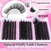 Fluffy Lash Extension Mink Thick Cluster Eyelash Extensions 10-18mm Lash Clusters Individual Lash Extensions DIY Clusters Lashes Extension at Home by Focipeysa (300pcs-70P+80P+90P 10-18mm)