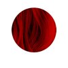 Splat | Luscious Raspberries | Original Complete Kit | Semi-Permanent Hair Dye | Vegan & Cruelty-Free