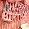 pink birthday decorations for women ，happy birthday party decorations for girls，pink Fringe Curtain，happy birthday banner，happy birthday balloons，happy birthday balloon letters