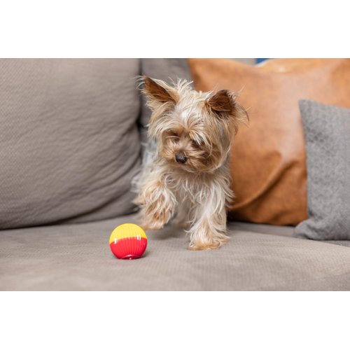Pet Qwerks Animal Sounds Babble Ball - Chew Dog Toy - Small