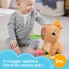 Fisher-Price Baby Sensory Toy Snuggly Snacky Capybara Plush with Newborn Teether & Rattle Activities for Infants Ages 3+ Months