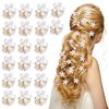 EEEKit Mini Hair Claw Clip, 20Pcs Retro Pearls Hair Bangs Clips Barrettes with Daisy Flower for Women Hair Accessories