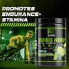 FXSUPPS Amino Hero Sour Ice Flavor (25 Servings) | Post-Workout Recovery Drink for Men and Women | Energy Powder Mix with BCAA, EAA, and Electrolytes | Promotes Endurance and Healthy Muscles - 1 Pack
