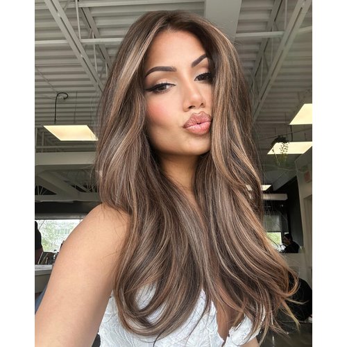 vedar Brown Wigs with Blonde Highlights, Synthetic Hair Brown Lace Front Highlighted Wig, Natural Straight Wigs with Mixed Blonde Hair, 22 inch VEDAR-097