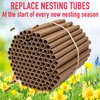 Rivajam 125 Mason Bee House Cardboard Nest Tubes Refill Pack | Solitary Bee Hive & Mason Bee Supplies | Mason Bee Starter Kit & Bee Habitat Garden Gift | Bee Hotels Tubes & Bee Nest Box Inserts Liners