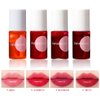 Baorder 4PCS Korean Lip Gloss Set, Lip Tint Stain Set,Mini Liquid Water Tint,Moisturizing Natural,Long Lasting Waterproof,Multi-Use Lip and Cheek Tint(Apple& Strawberry& Watermelon& Cherry)