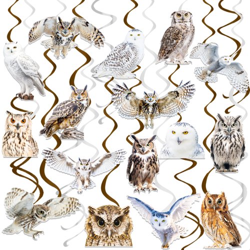 Owl Theme Hanging Swirls Owl Birthday Party Decorations Woodland Animal Party Hanging Foil Whirls Ceiling Streamers Decoration for Owl Theme Birthday Party Forest Animal Party Supplies