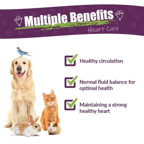 AMBER NATURALZ Hawthorn and Dandelion Herbal Supplement for Dogs, Cats, Birds, Guinea Pigs, and Rabbits | Pet Herbal Supplement for Heart Care | 1 Fluid Ounce Glass Bottle | Manufactured in The USA