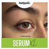 XL Eyebrow & Lash Serum | Oil Blend for Fuller Brows & Longer Lashes | Promotes Natural Eyebrow Growth & Eyelash Growth | 10 ml (0.34 fl oz) 60-Day Supply