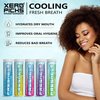Xero Picks Freshen - Infused Flavored Toothpicks - Cooling Fresh Breath - 100 Picks - 5 Pack - Variety