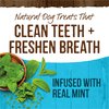 Merrick Fresh Kisses Dog Dental Chews For Medium Breeds, Grain Free Dog Treats Infused with Real Mint - (4) 22 ct. Boxes