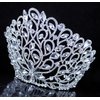 Janefashions Fancy Beauty Queen Crystal Rhinestone Tiara Crown With Hair Combs Wedding Bridal Beauty Contest Prom Pageant Silver T994