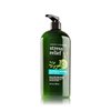 Bath Body Works Aromatherapy Stress Eucalyptus Spearmint Bonus Size Body Lotion, Limited Edition 12 Ounce
