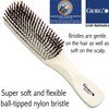 Giorgio GIO1IVY Gentle Dresser Size Detangle Brush - Wet Hair Brush & Hair Massager for Hair Growth - Pro Detangling Brush for Sensitive Scalps - Anti Static Ionic Hair Brush (7.75", Ivory)