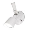 WAC Lighting, Endurance Single Spot Energy Star 15W LED Spot Light 5000K in White