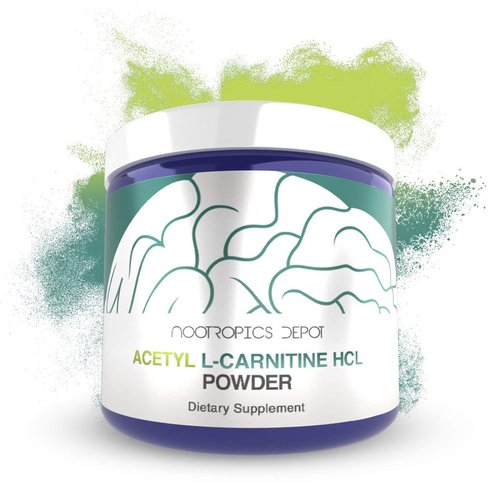 Nootropics Depot Acetyl L-Carnitine Powder | HCL Form | 125 Grams | ALCAR | Amino Acid Supplement | Energy Supplement | Supports Mitochondrial Function, Weight Loss, and Healthy Aging