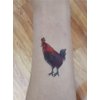 SanerLian Cock Chicken Rooster Temporary Tattoo Sticker Red Waterproof Teens Girls Boys Kids Party Favor Makeup Set of 5 (SF4721)