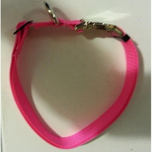 Carter Pet Supply Adjustable 1.5 Webbing Collar Bull Dog Tough USA Made Metal Side Release Buckle (Medium fits 19 to 30", Pink)